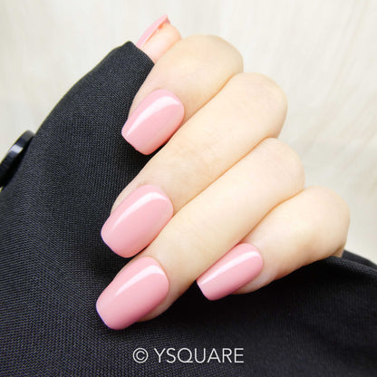 < Pastel Collection >