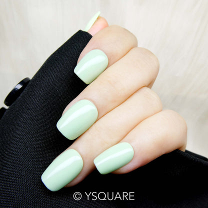 < Pastel Collection >
