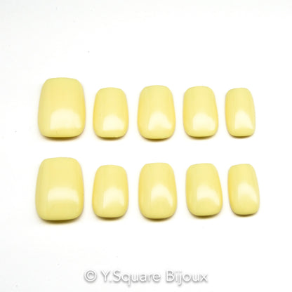 < Pastel Collection >