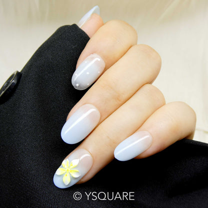 < Tiare Tahiti >
